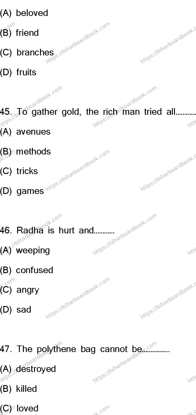 Bihar Board Class 10th 2023 English  113  (SETH)  2023 Previous Year Paper 13