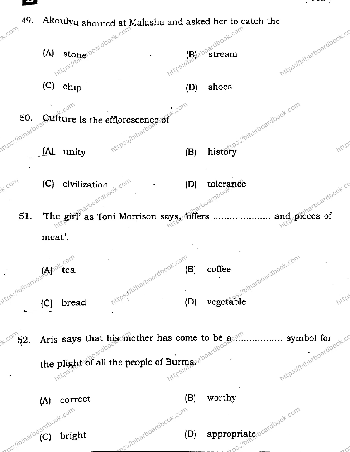 Bihar Board Class 10th 2025 English  113  SetE  2025 Previous Year Paper 15