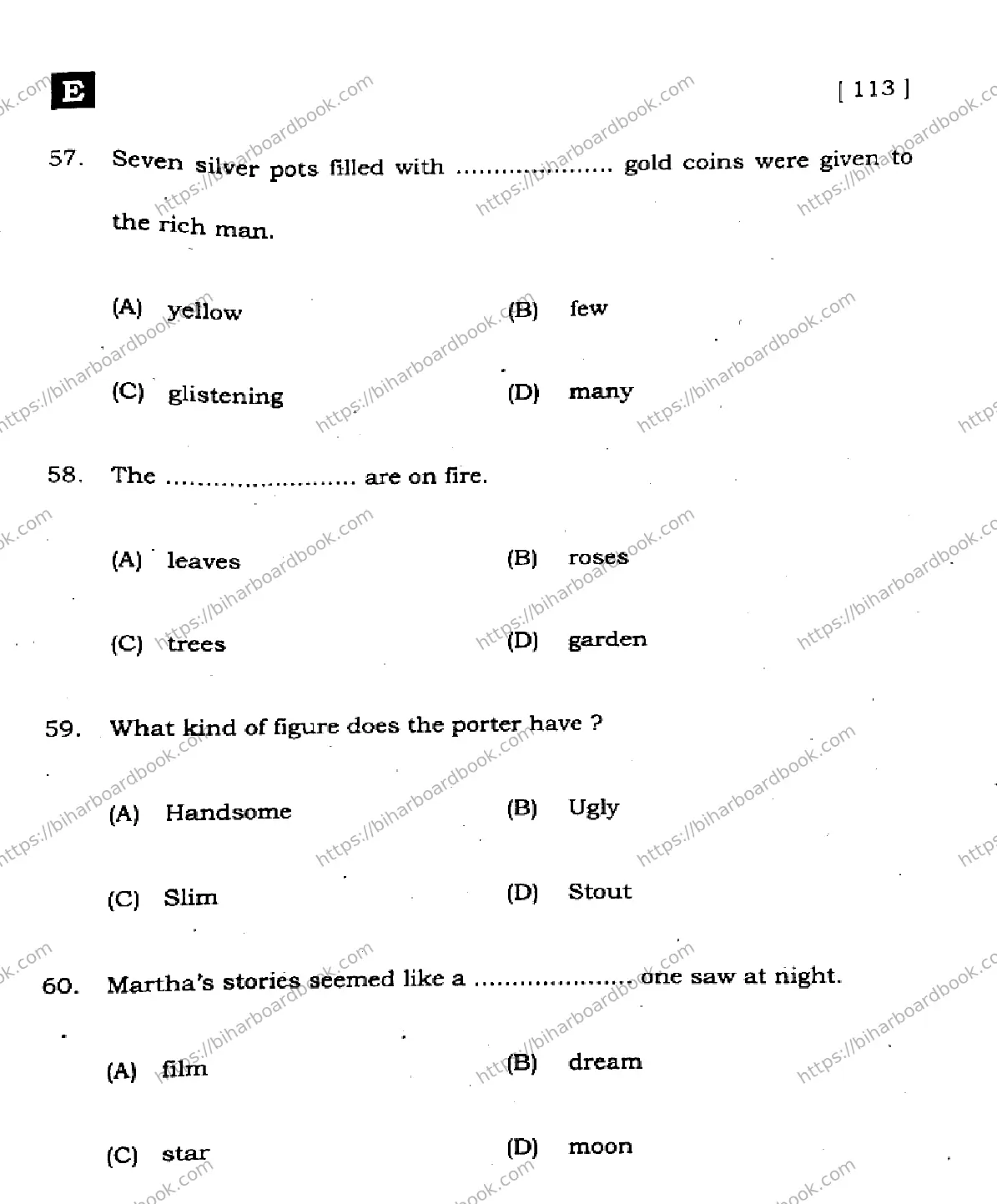 Bihar Board Class 10th 2025 English  113  SetE  2025 Previous Year Paper 17