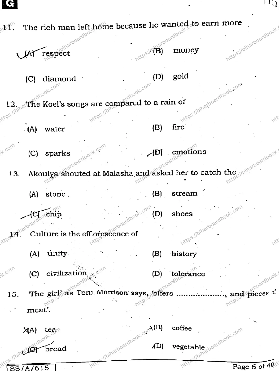 Bihar Board Class 10th 2025 English  113  SetG  2025 Previous Year Paper 5