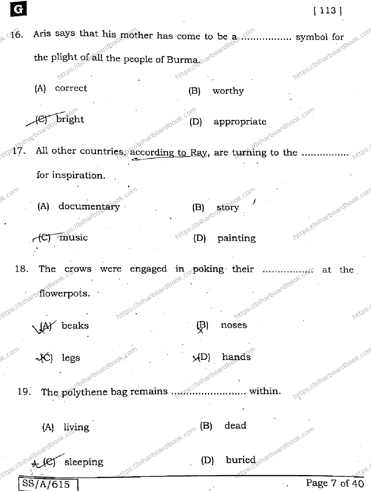 Bihar Board Class 10th 2025 English  113  SetG  2025 Previous Year Paper 6