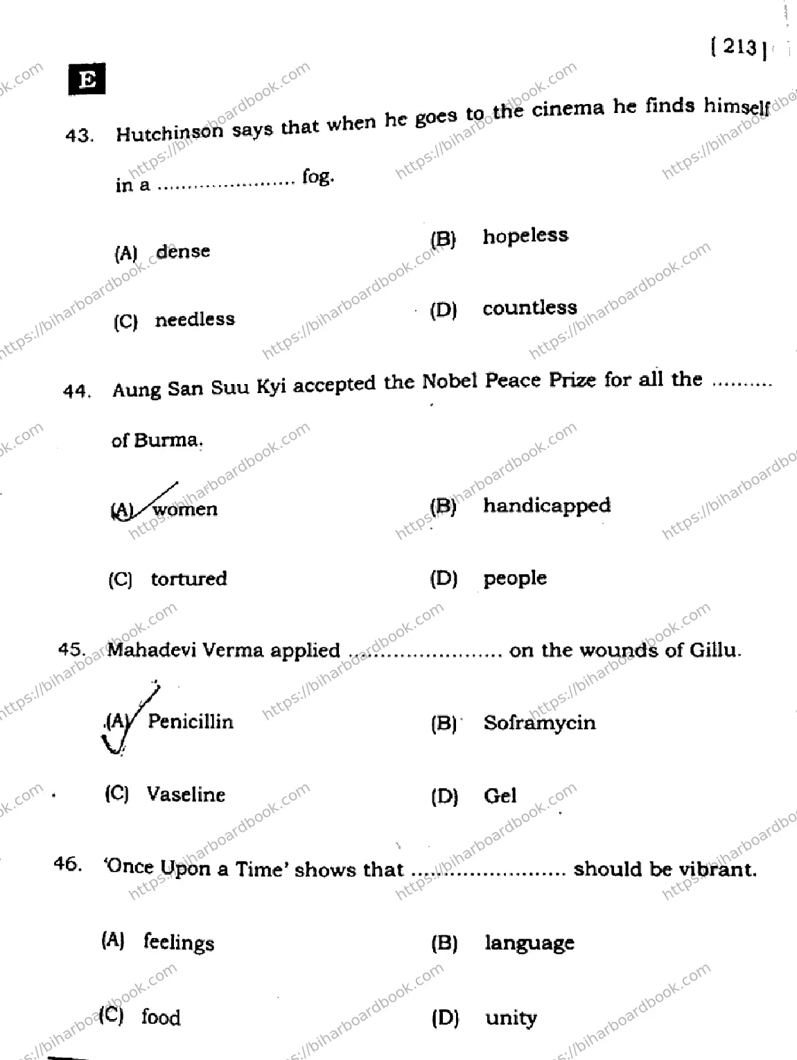 Bihar Board Class 10th 2024 English  213  (SetE)  2024 Previous Year Paper 13