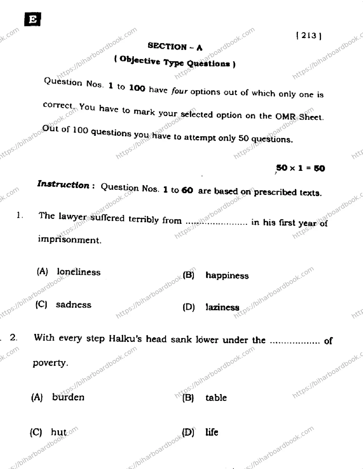 Bihar Board Class 10th 2024 English  213  (SetE)  2024 Previous Year Paper 2
