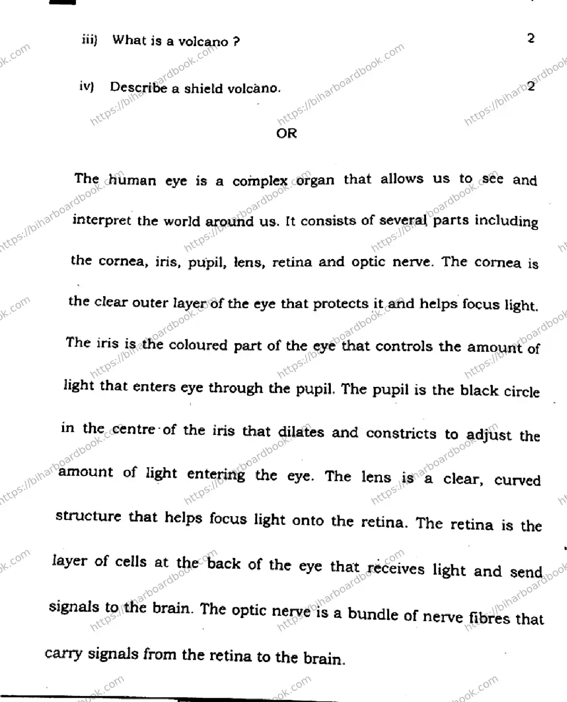 Bihar Board Class 10th 2024 English  213  (SetE)  2024 Previous Year Paper 33