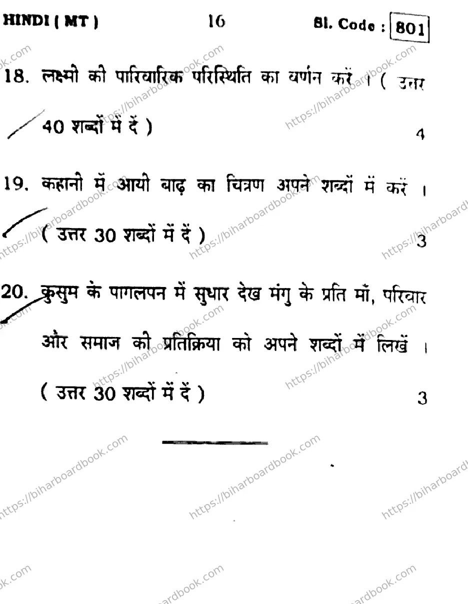 Bihar Board Class 10th 2016 Hindi  801  2016 Previous Year Paper 16