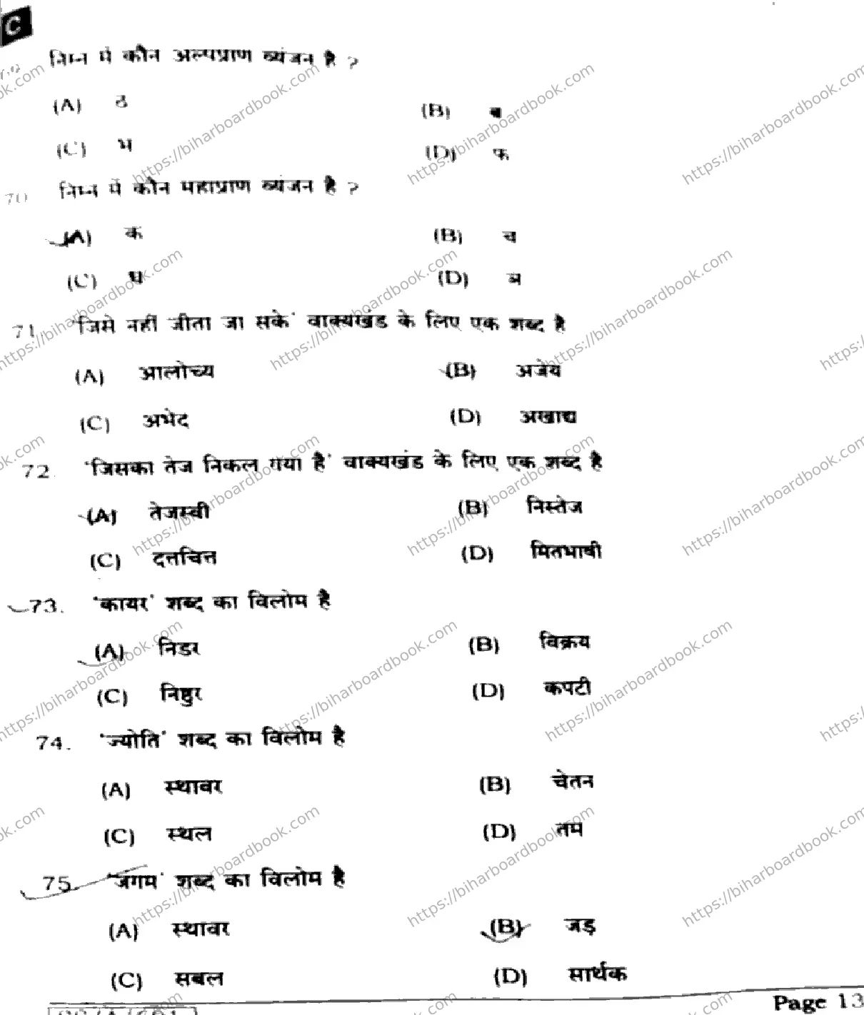 Bihar Board Class 10th 2025 Hindi (MT)  101  SetC  2025 Previous Year Paper 13
