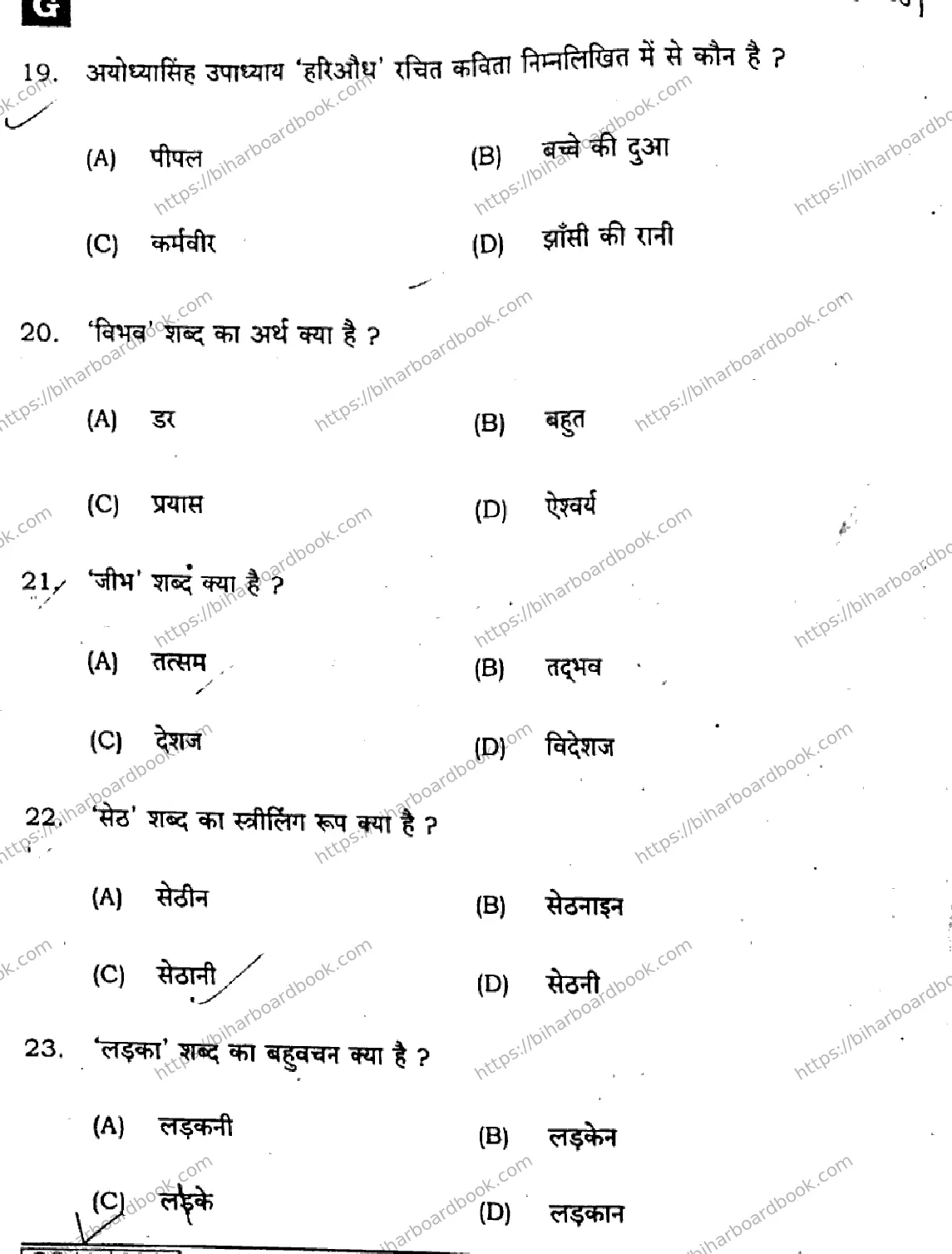 Bihar Board Class 10th 2025 Hindi (SIL) (NLH)  106  SetG  2025 Previous Year Paper 6
