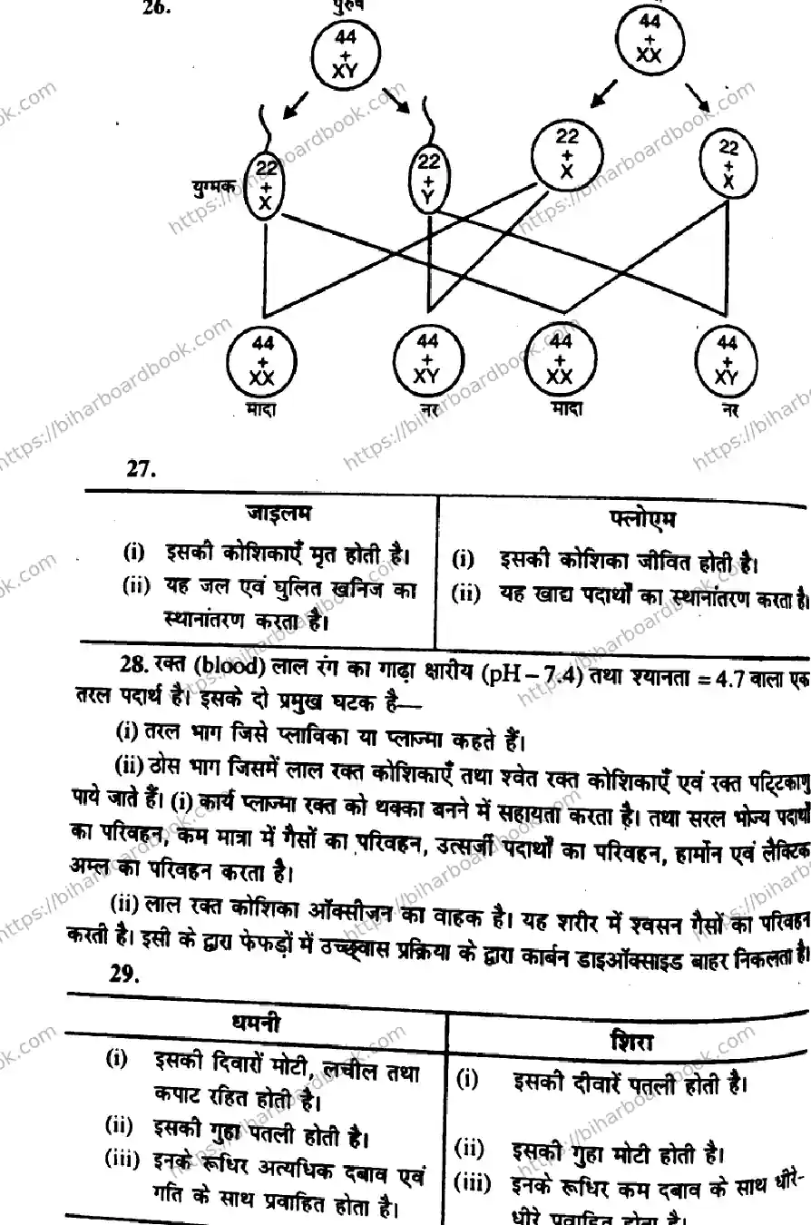 Bihar Board Class 10th 2014 Science  P2  2014 Previous Year Paper 6