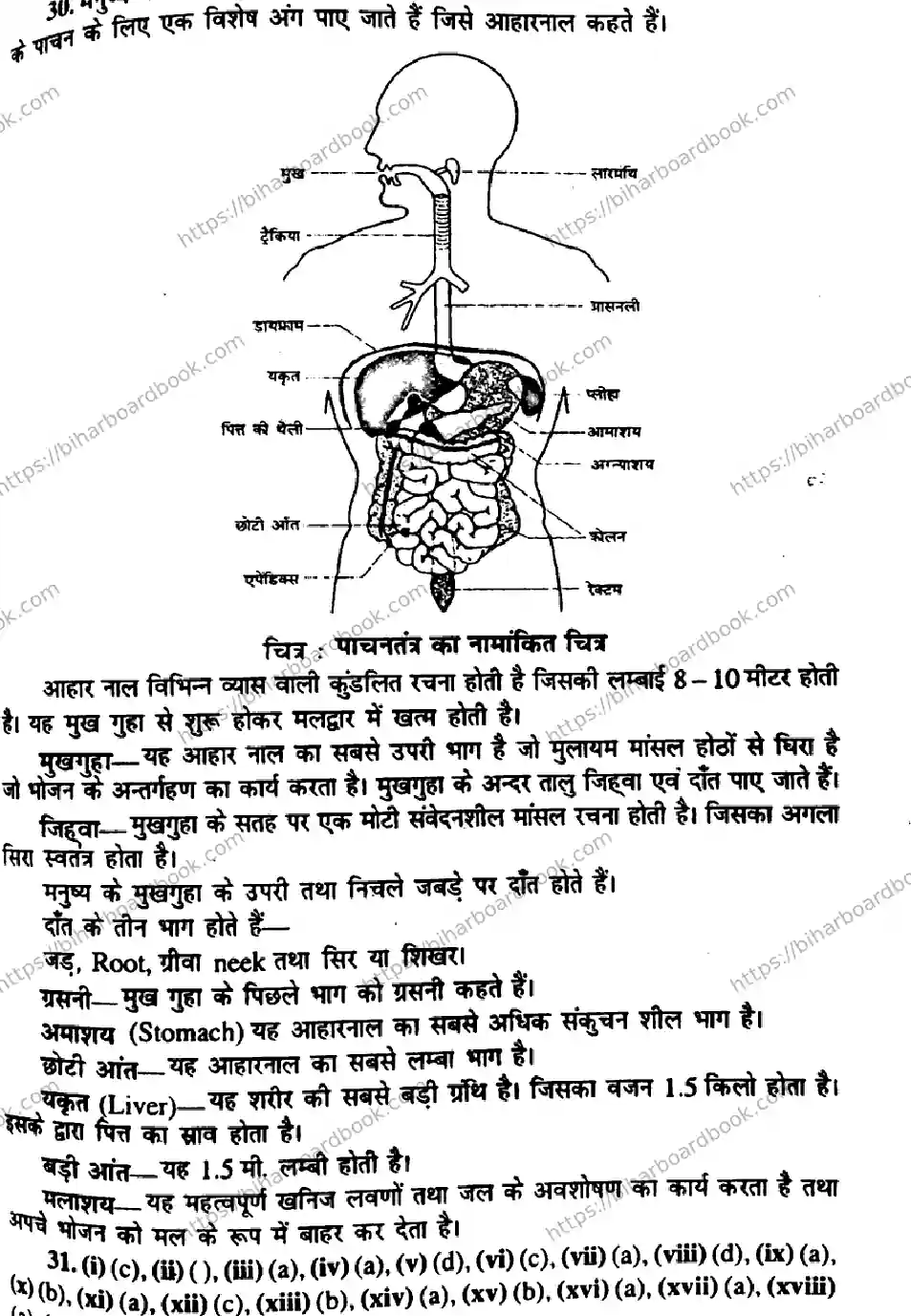 Bihar Board Class 10th 2014 Science  P2  2014 Previous Year Paper 7