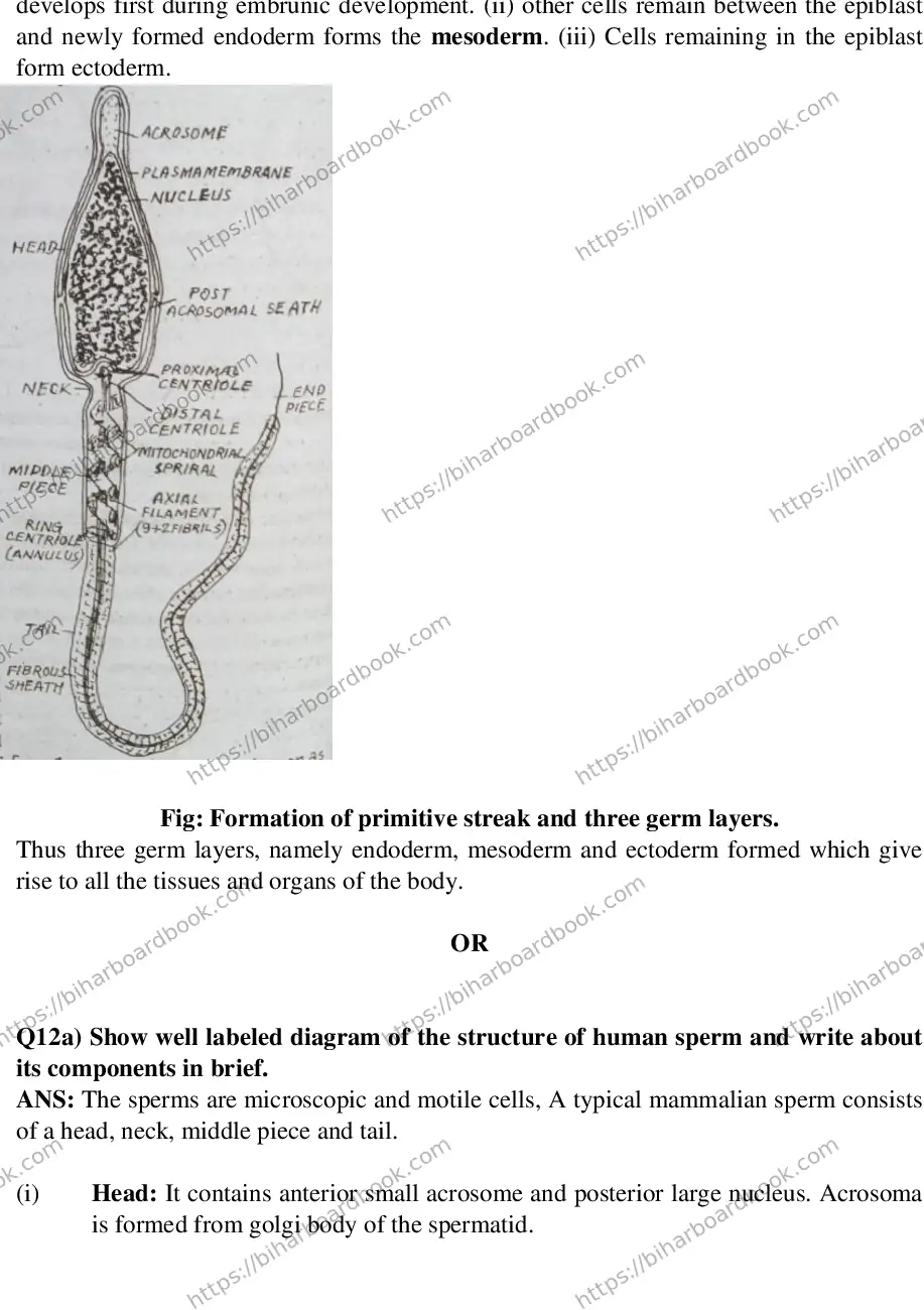 Bihar Board Class 12th 2015 Biology  2015 Previous Year Paper 8
