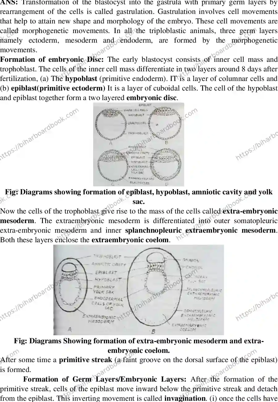 Bihar Board Class 12th 2016 Biology  2016 Previous Year Paper 7