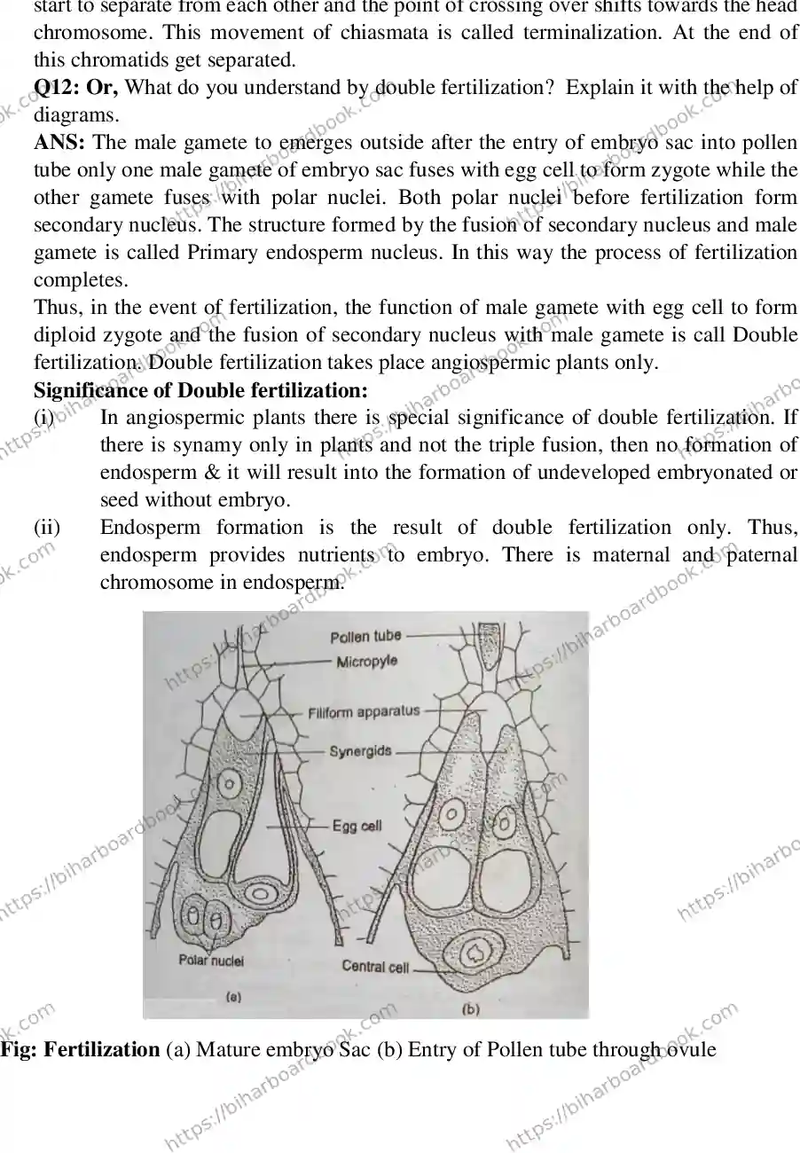 Bihar Board Class 12th 2017 Biology  2017 Previous Year Paper 9