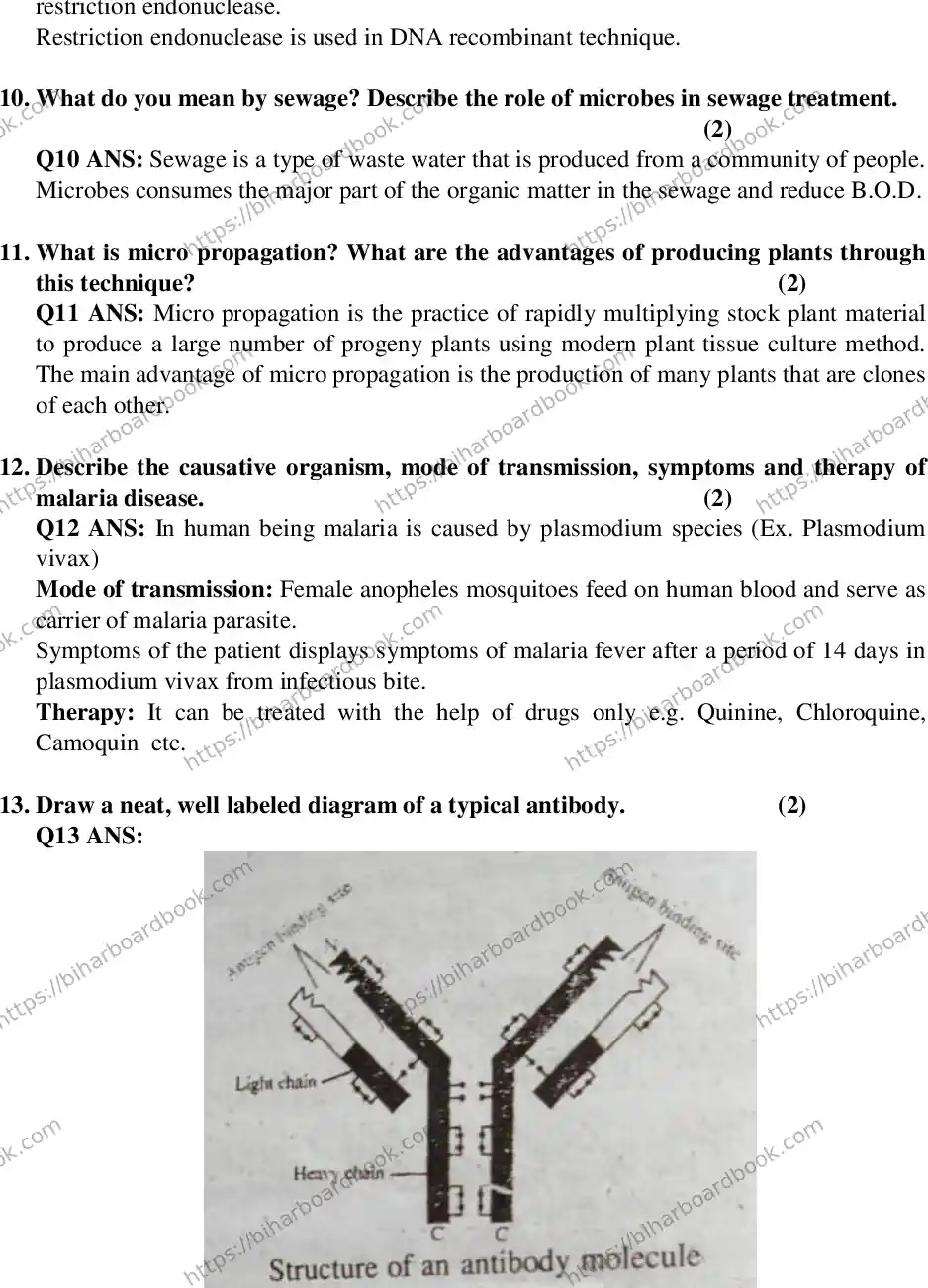Bihar Board Class 12th 2018 Biology  2018 Previous Year Paper 8