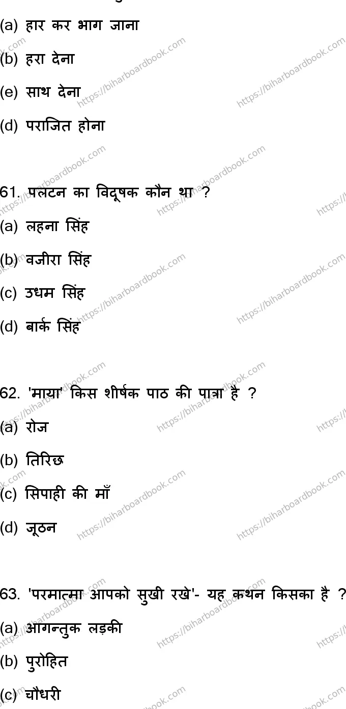 Bihar Board Class 12th 2023 Hindi Previous Year Paper 17