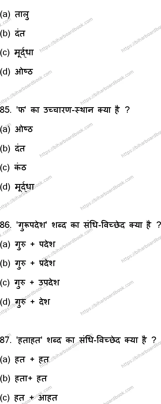 Bihar Board Class 12th 2023 Hindi Previous Year Paper 23