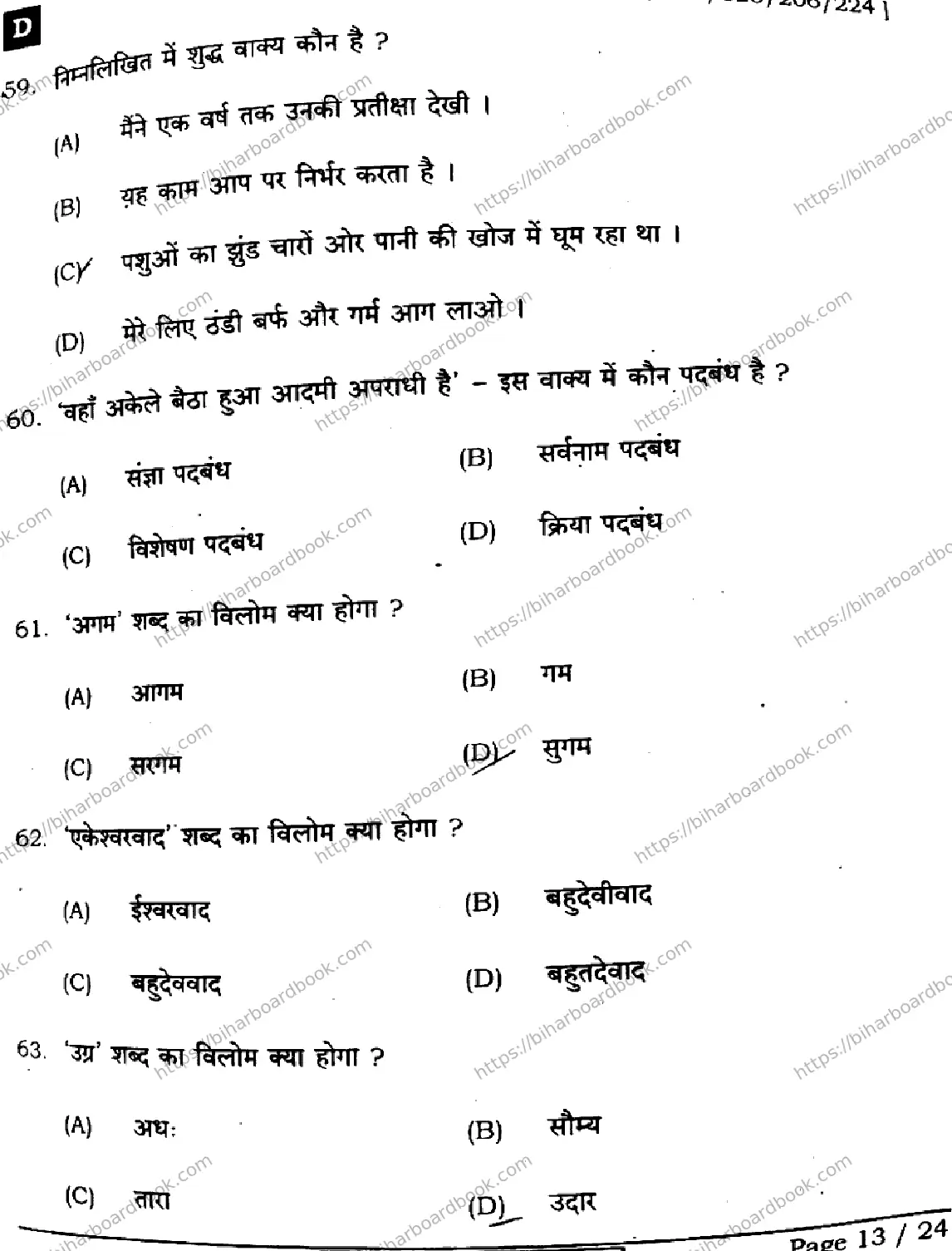 Bihar Board Class 12th 2024 हिंदी  106125206224 (SetD) Previous Year Paper 13