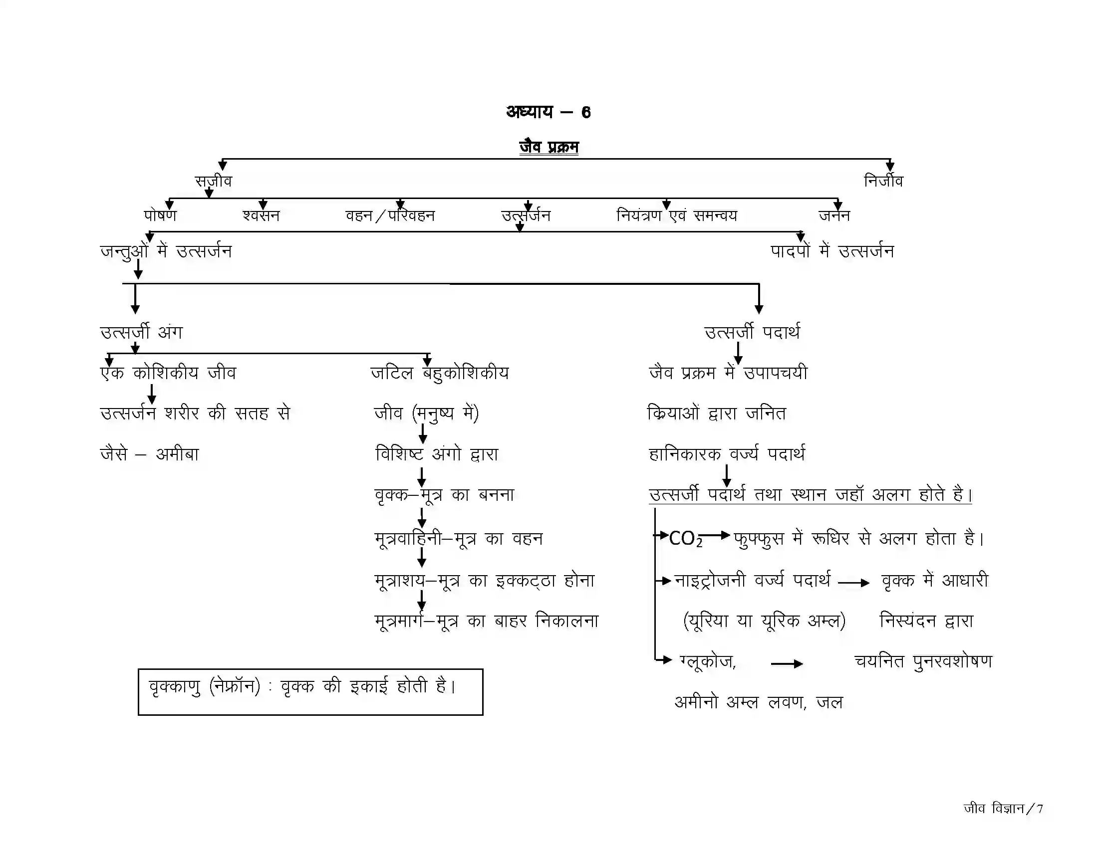 Bihar Board Class 10th Biology जैव प्रक्रम Revision Note 7