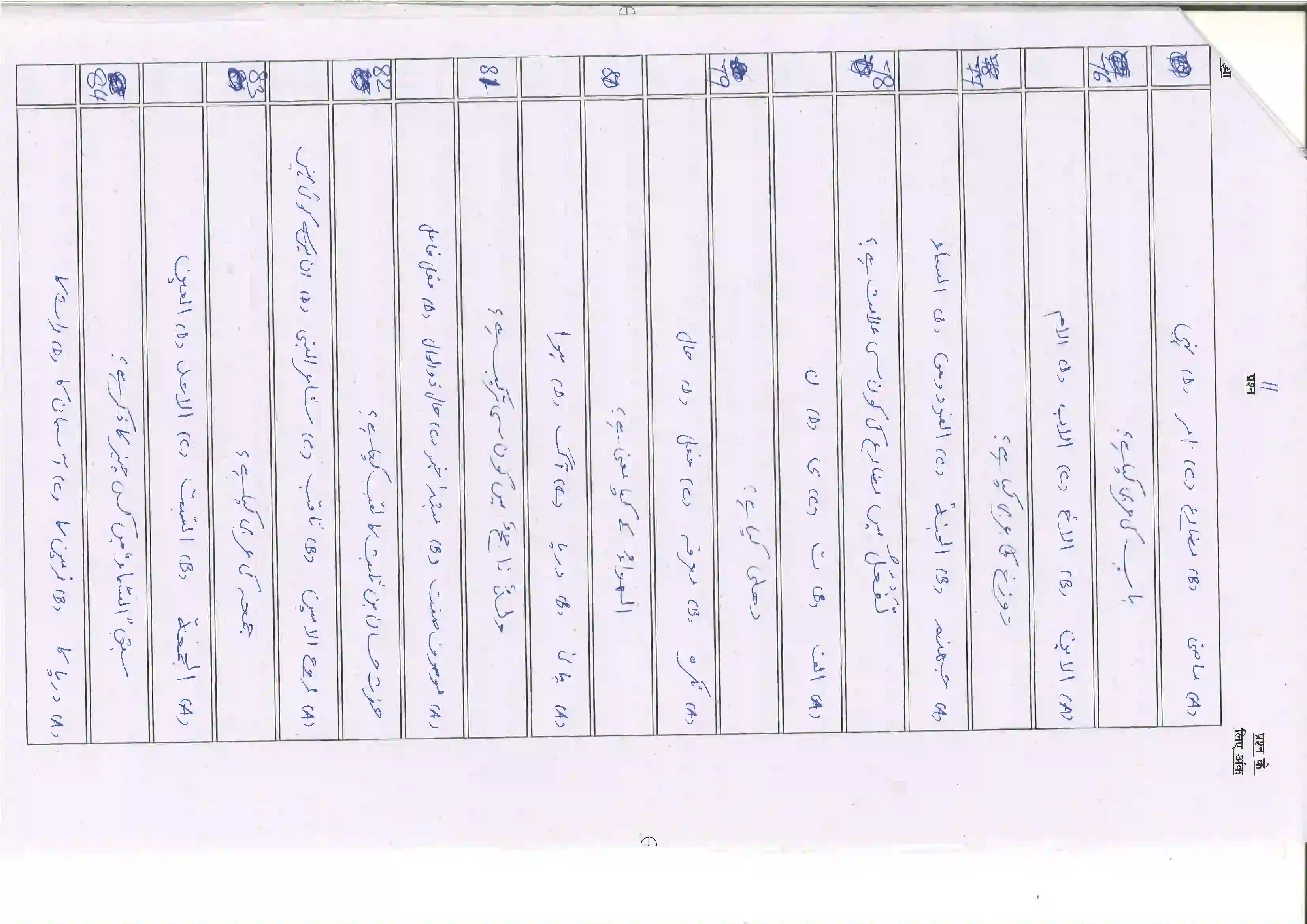 Bihar Board Class 10th 2025 Arabic (Sil) (107) Sample Paper 11