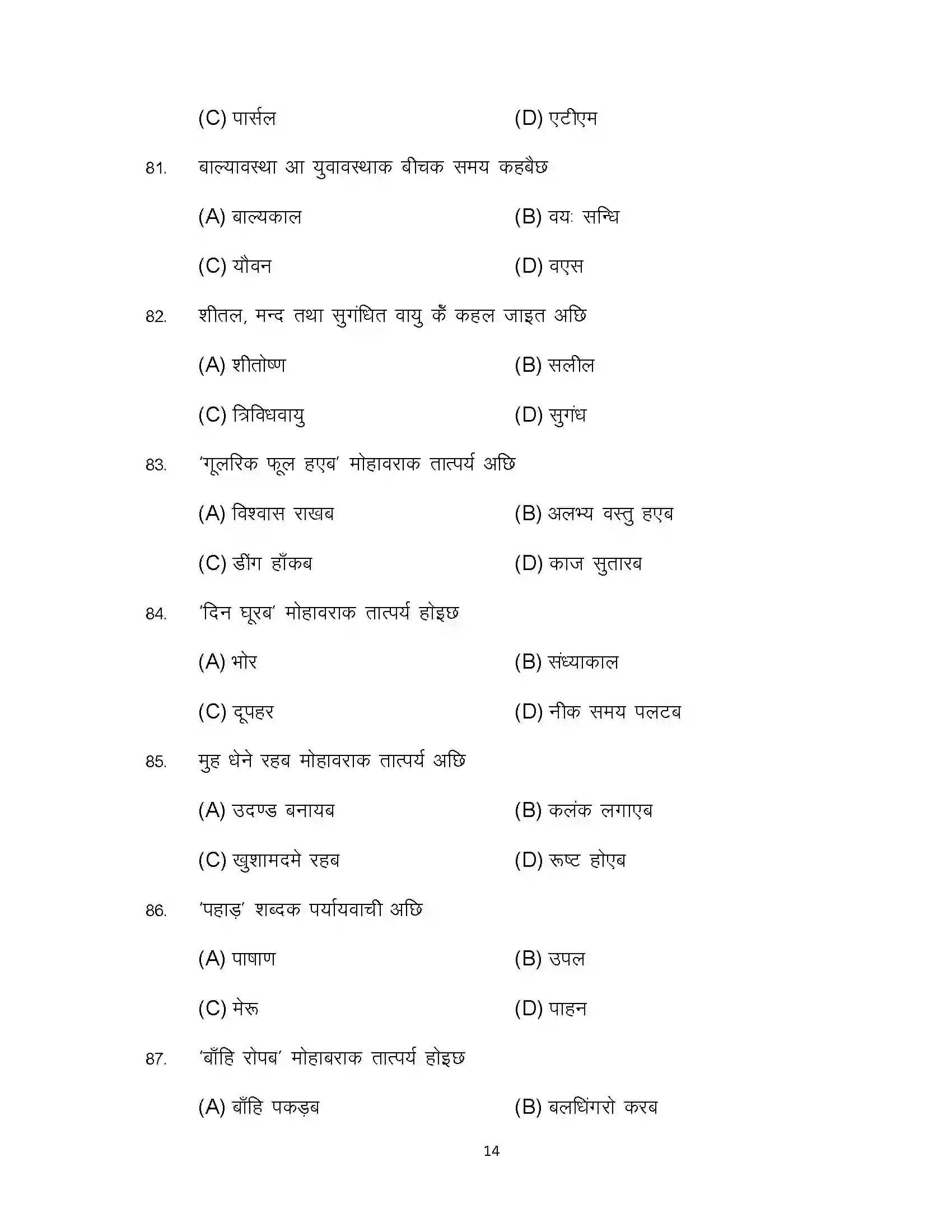 Bihar Board Class 12th 2024 Maithili Sample Paper 14