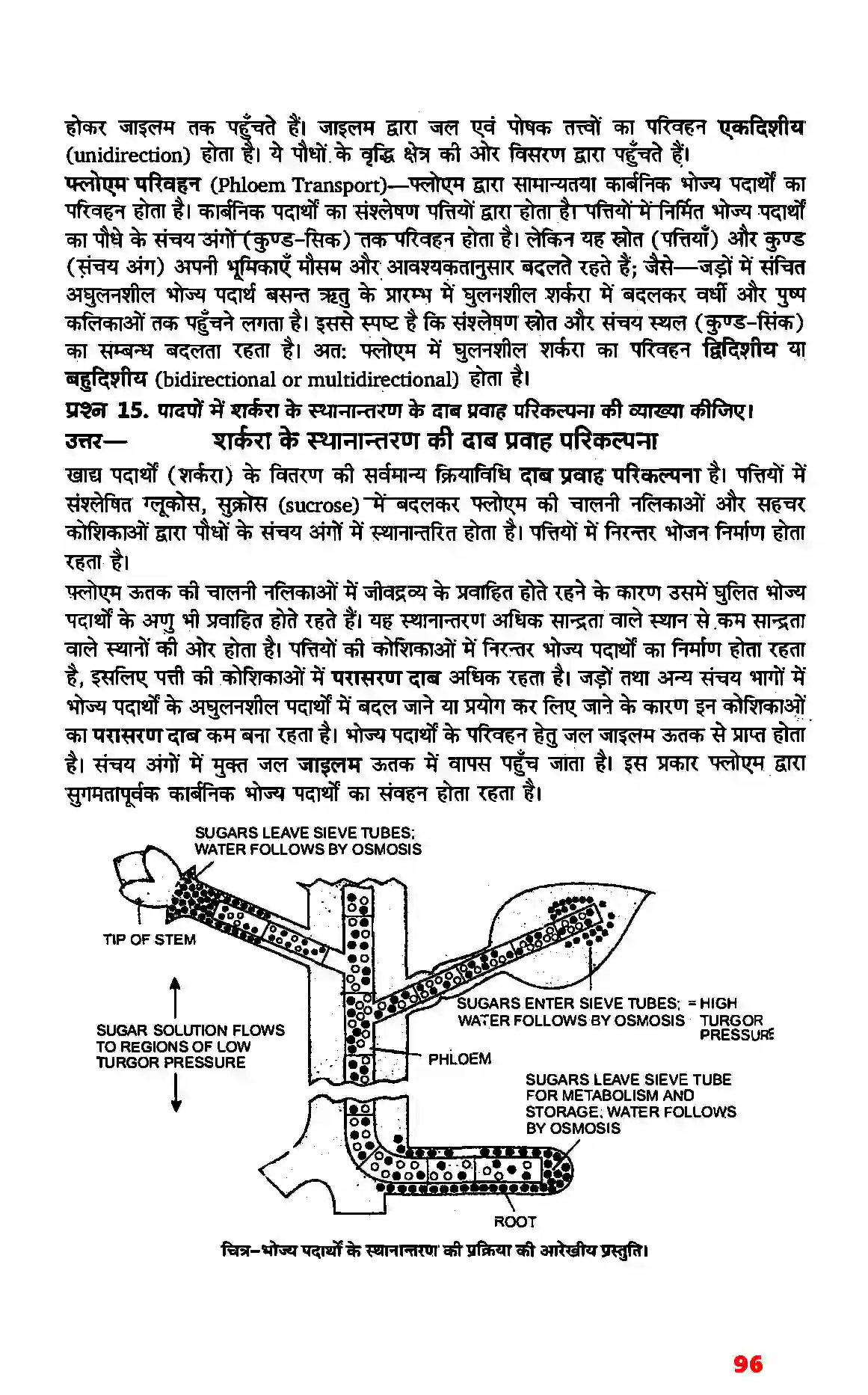 Bihar Board Class 11th Biology (जीव विज्ञान) Chapter 11 (पौधों में परिवहन) Solution 9