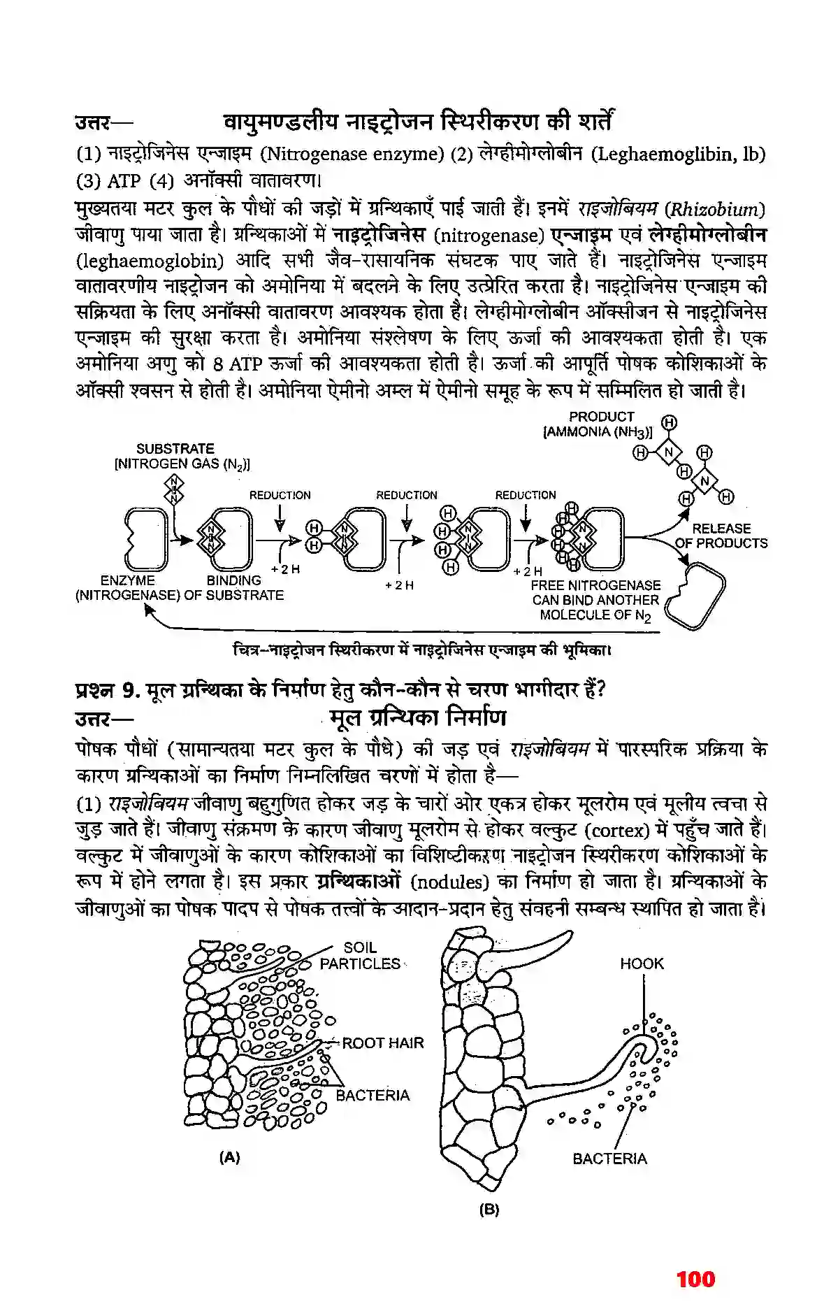 Bihar Board Class 11th Biology (जीव विज्ञान) Chapter 12 (खनिज पोषण) Solution 3