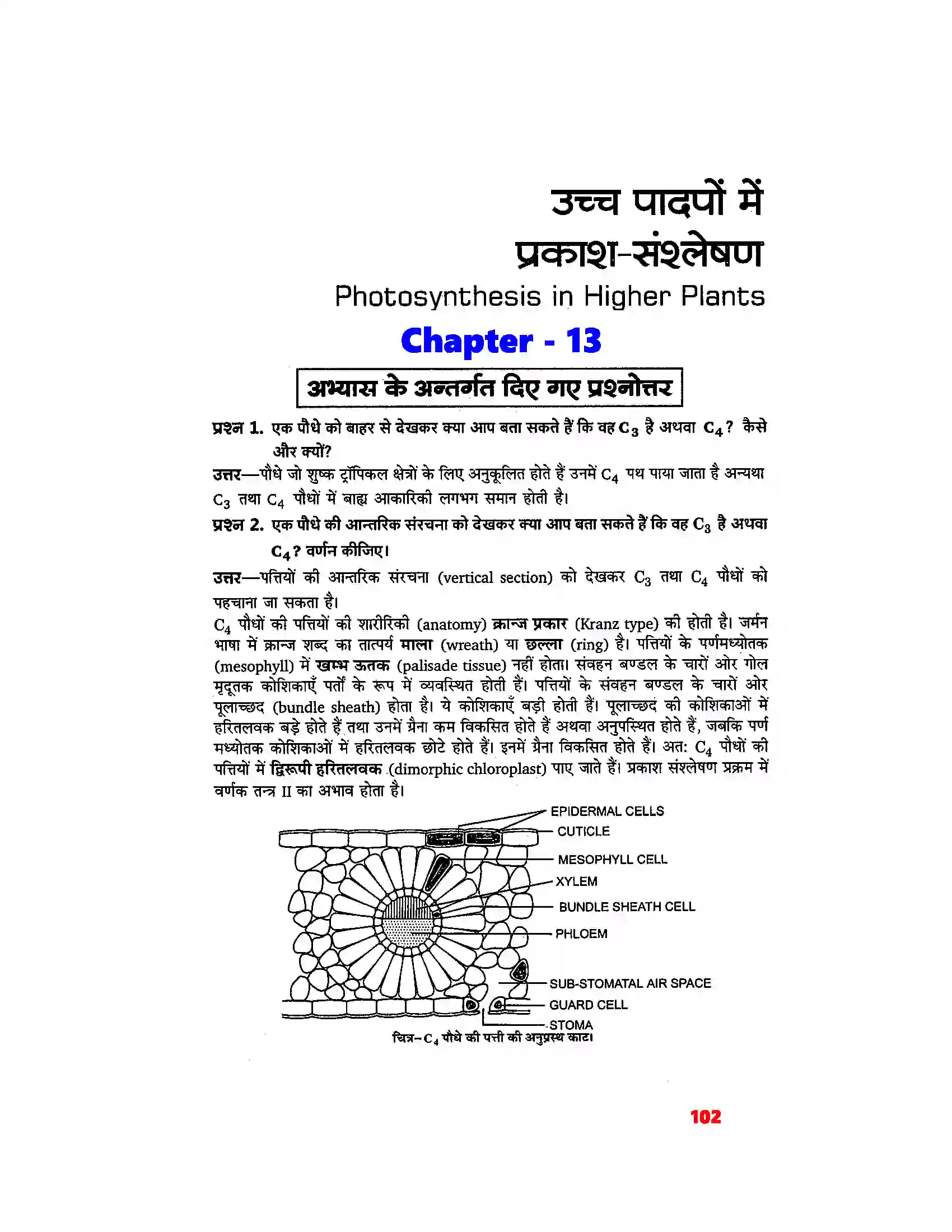 Bihar Board Class 11th Biology (जीव विज्ञान) Chapter 13 (उच्च पादपों में प्रकाश(संश्लेषण) Solution 1