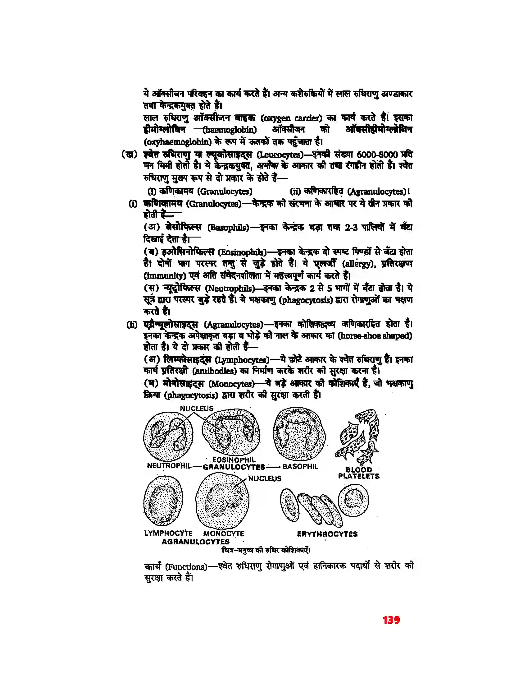 Bihar Board Class 11th Biology (जीव विज्ञान) Chapter 18 (शरीर द्रव तथा परिसंचरण) Solution 2