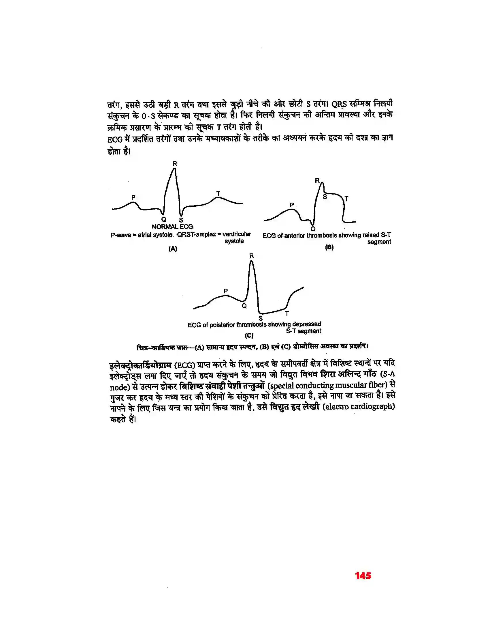 Bihar Board Class 11th Biology (जीव विज्ञान) Chapter 18 (शरीर द्रव तथा परिसंचरण) Solution 8
