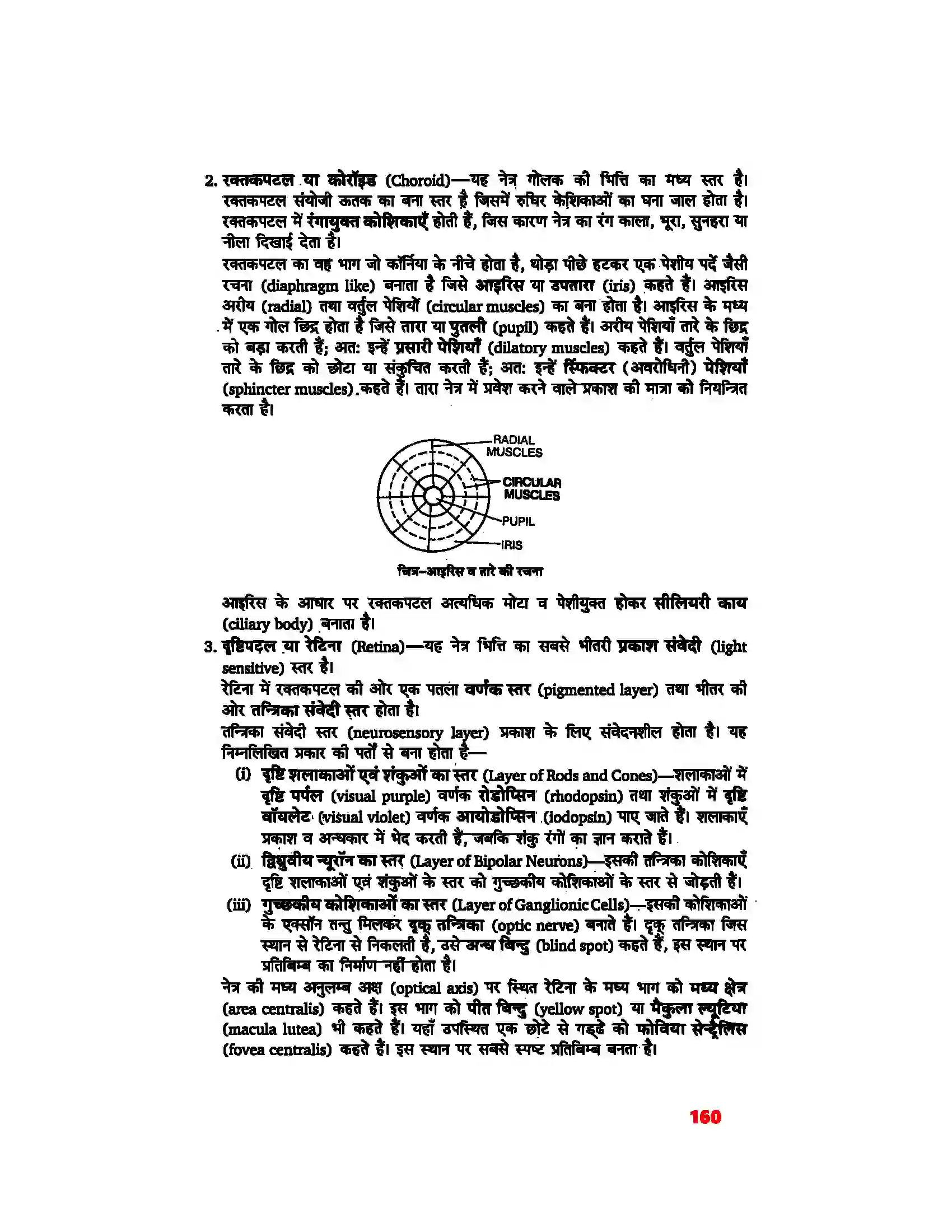 Bihar Board Class 11th Biology (जीव विज्ञान) Chapter 21 (तंत्रिकीय नियंत्रण एवं समन्वय) Solution 4