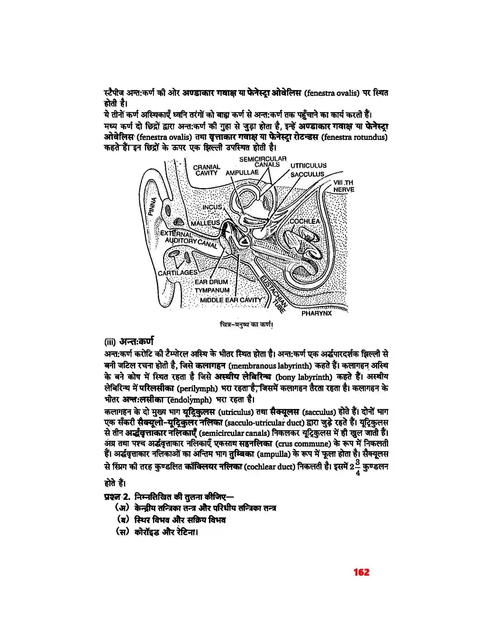 Bihar Board Class 11th Biology (जीव विज्ञान) Chapter 21 (तंत्रिकीय नियंत्रण एवं समन्वय) Solution 6