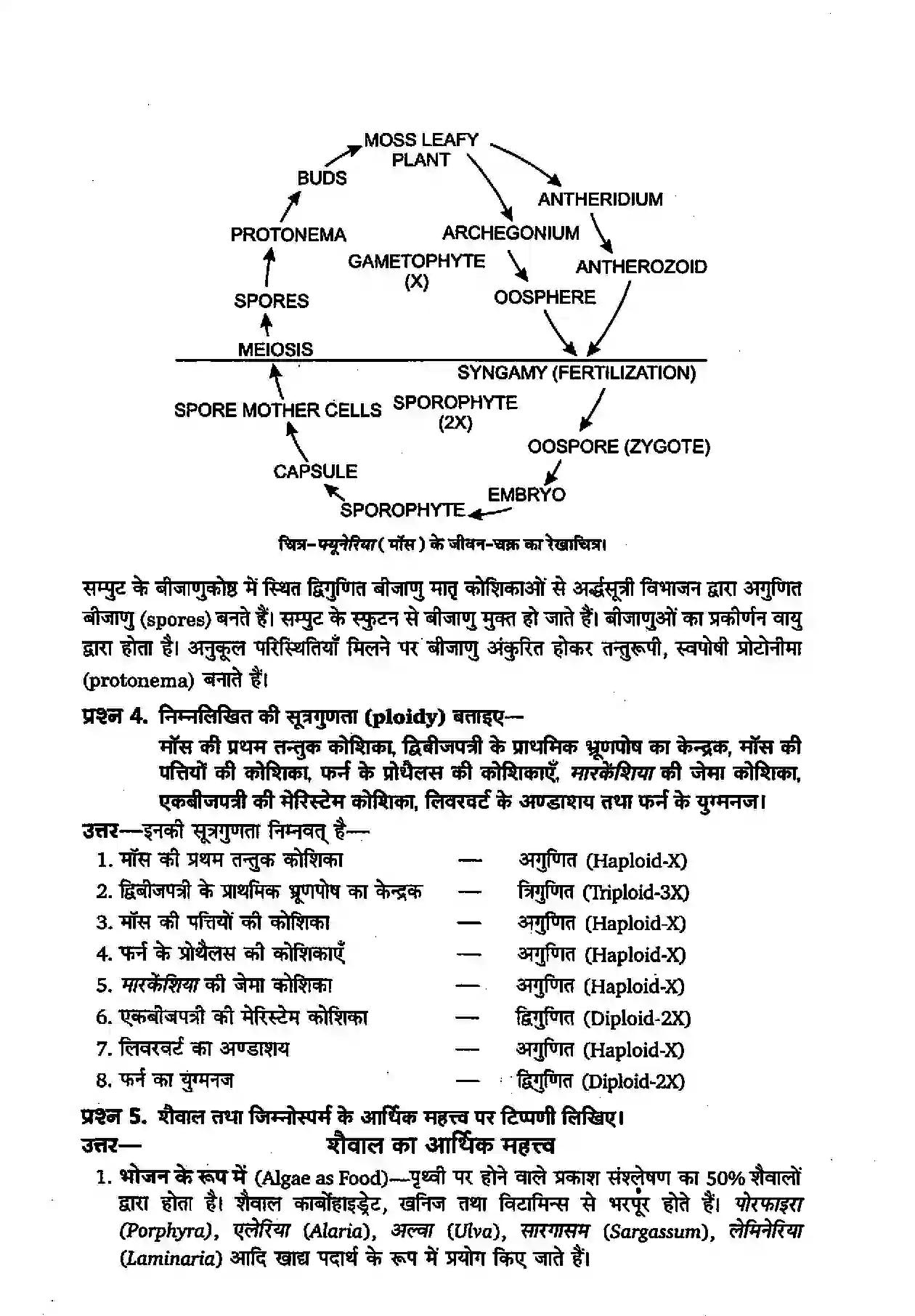 Bihar Board Class 11th Biology (जीव विज्ञान) Chapter 3 (वनस्पति जगत) Solution 2
