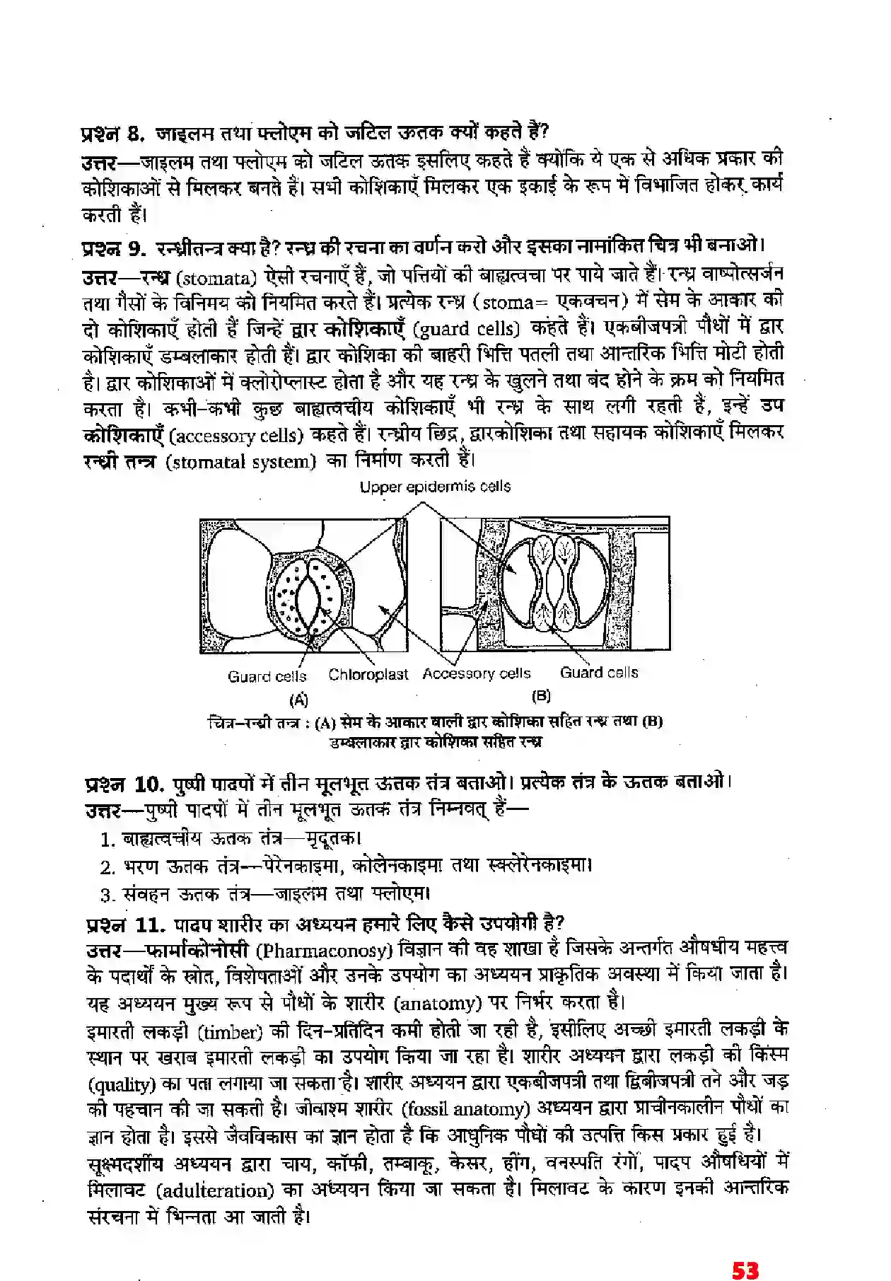 Bihar Board Class 11th Biology (जीव विज्ञान) Chapter 6 (पुष्पी पादपों का शारीर) Solution 7