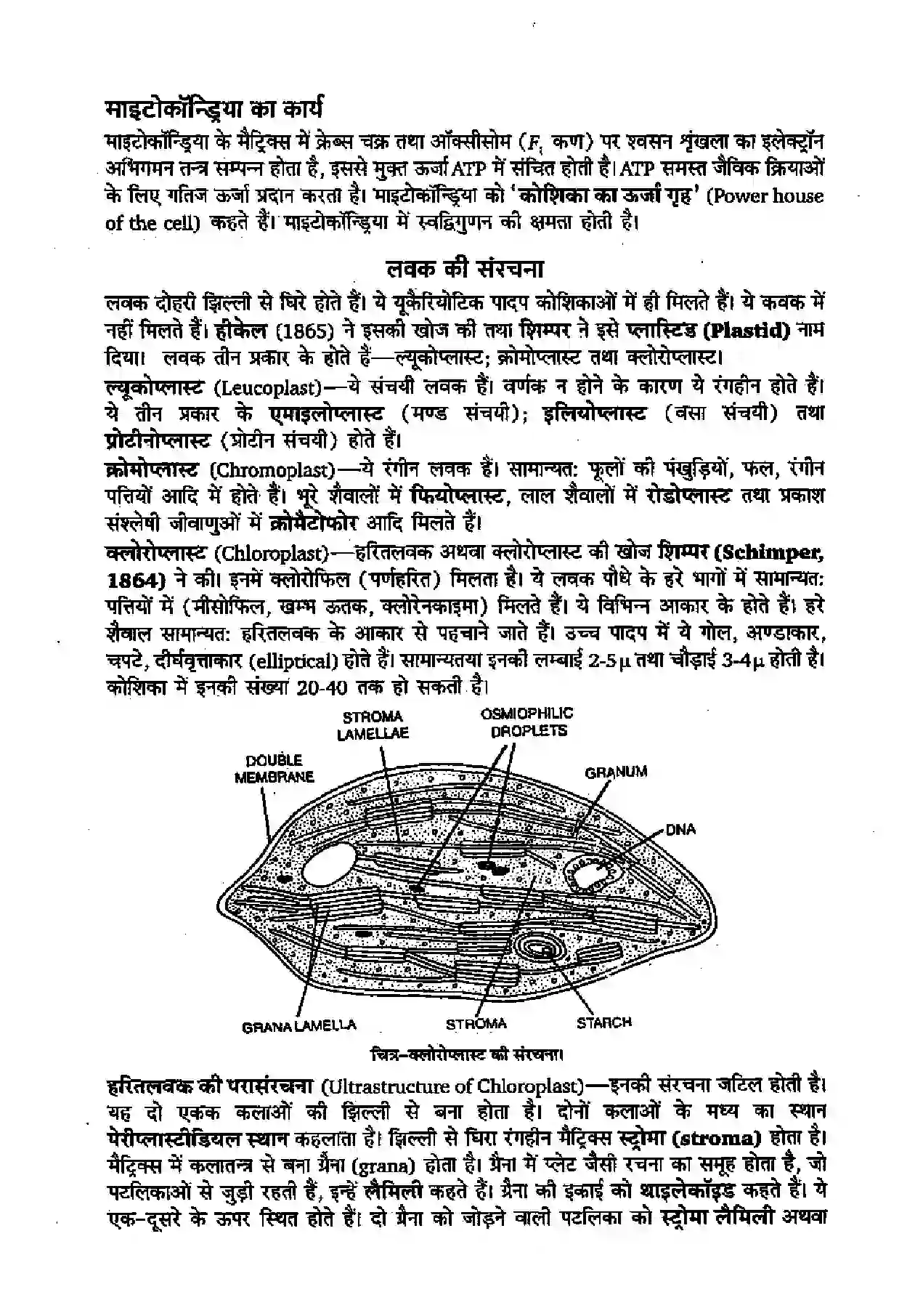 Bihar Board Class 11th Biology (जीव विज्ञान) Chapter 8 (कोशिका जीवन की इकाई) Solution 3