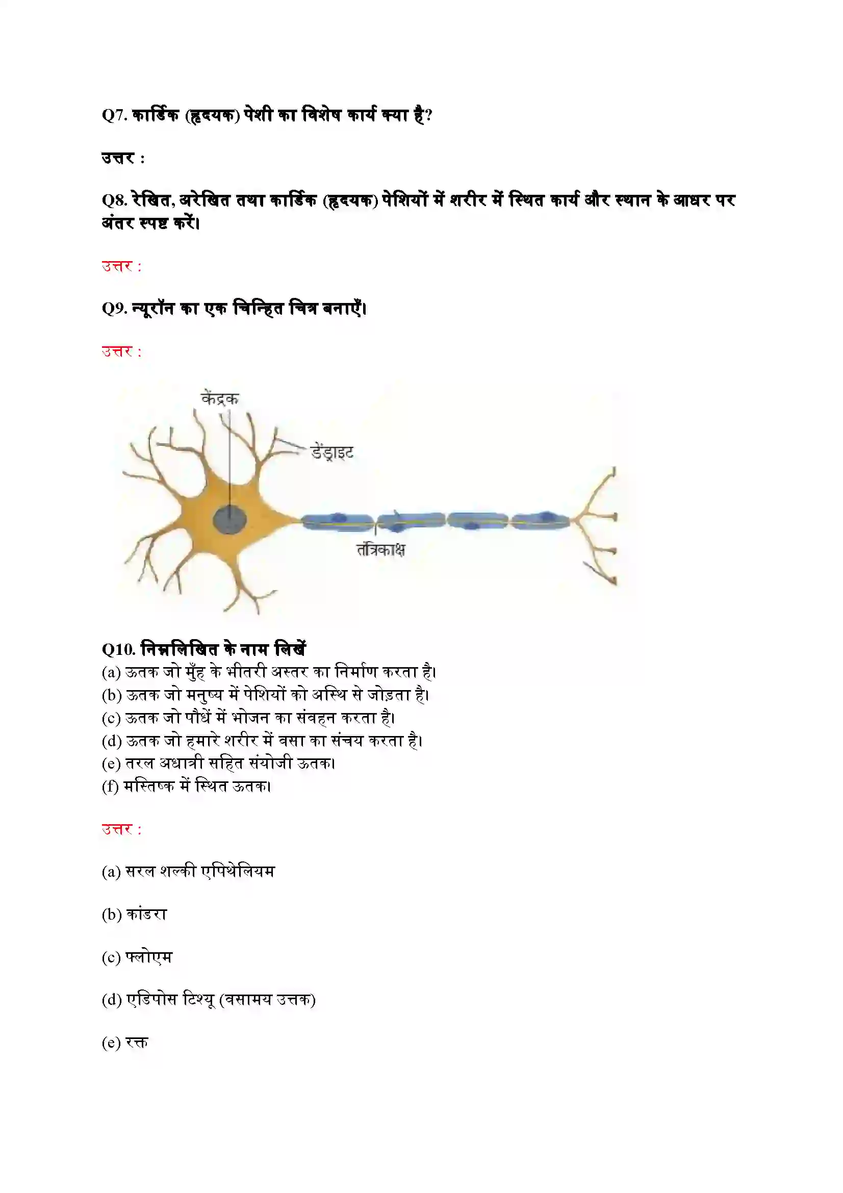 Bihar Board Class 9th Science (विज्ञान) Chapter 6 (उत्तक) Solution 9
